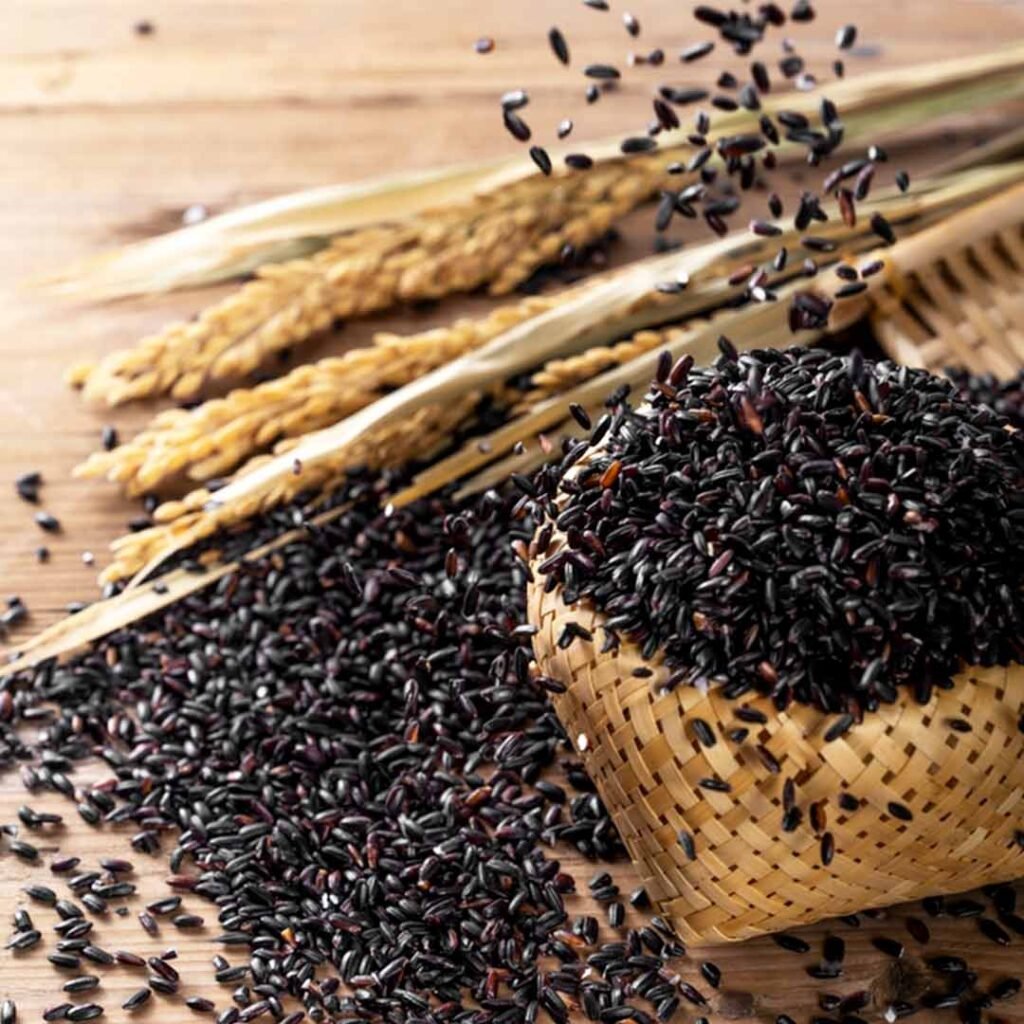 Black Rice » Shuddha Space