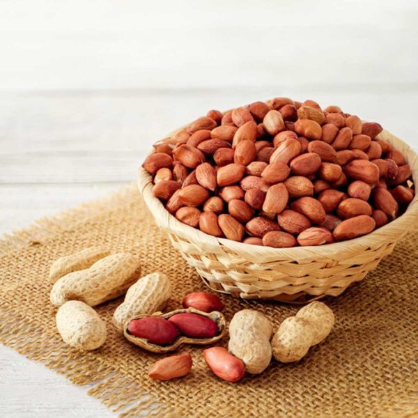 Groundnut