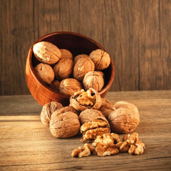 Walnut
